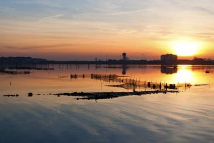 escursioni gite laguna chioggia sottomarina